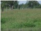 66 Kildonan Road, Goondiwindi QLD 4390