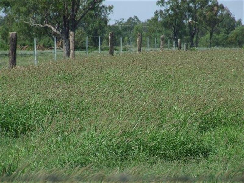 66 Kildonan Road, Goondiwindi QLD 4390