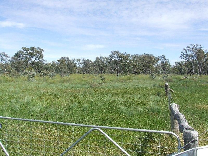 20 Willaroo Road, Boggabilla NSW 2409