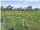 20 Willaroo Road, Boggabilla NSW 2409