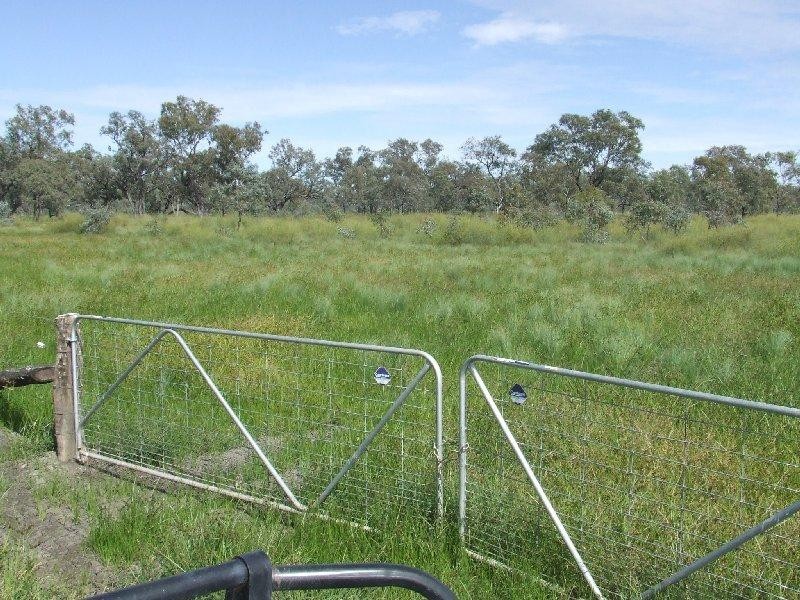 20 Willaroo Road, Boggabilla NSW 2409