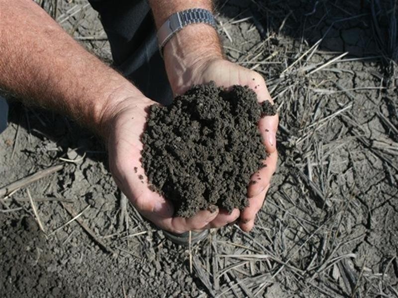 Goondiwindi QLD 4390