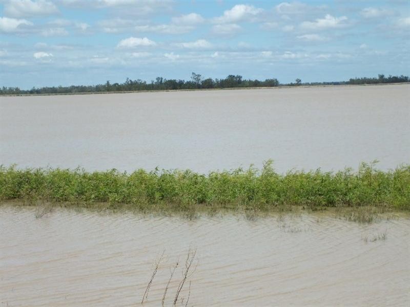 Goondiwindi QLD 4390