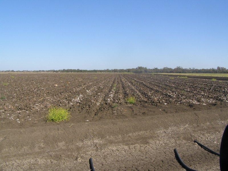 Goondiwindi QLD 4390