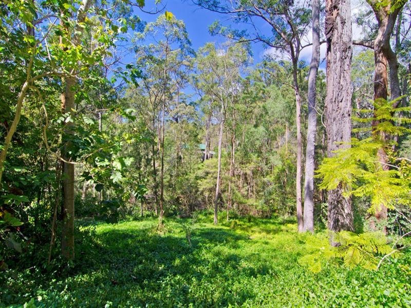 3 Ronelle Court, Tallebudgera QLD 4228