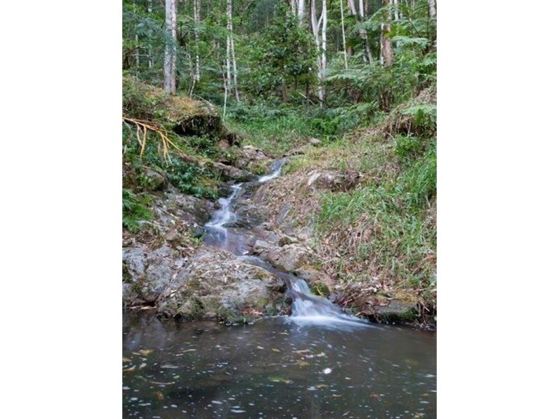 1526 Currumbin Creek Road, Currumbin Valley QLD 4223