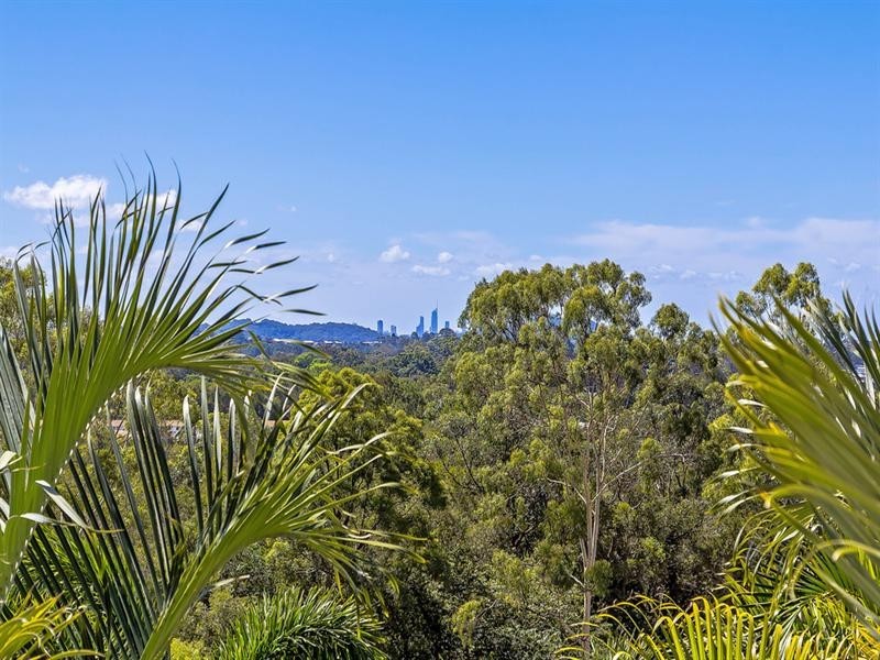 11 Kukulies Court, Currumbin Waters QLD 4223