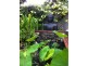 11 Merauke Avenue, Palm Beach QLD 4221