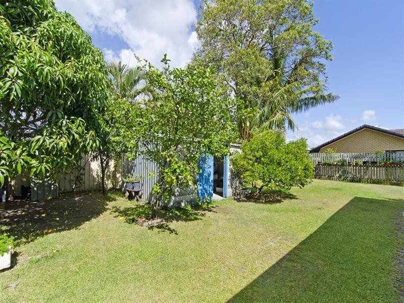 56 Coolibah Drive, Palm Beach QLD 4221