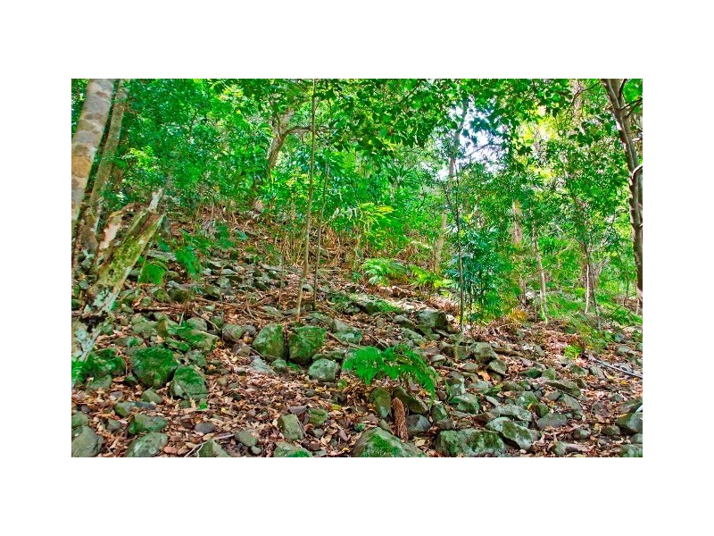 125 Reynolds Road, Currumbin Valley QLD 4223