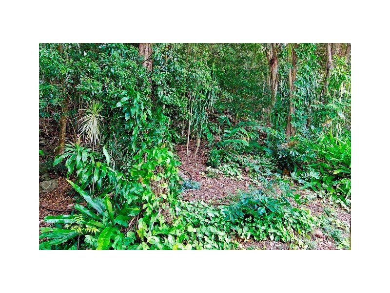 125 Reynolds Road, Currumbin Valley QLD 4223