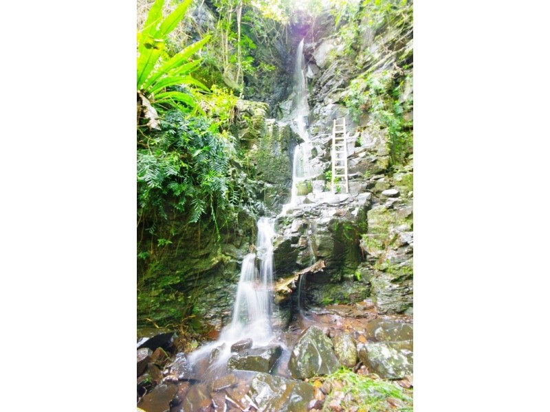 125 Reynolds Road, Currumbin Valley QLD 4223
