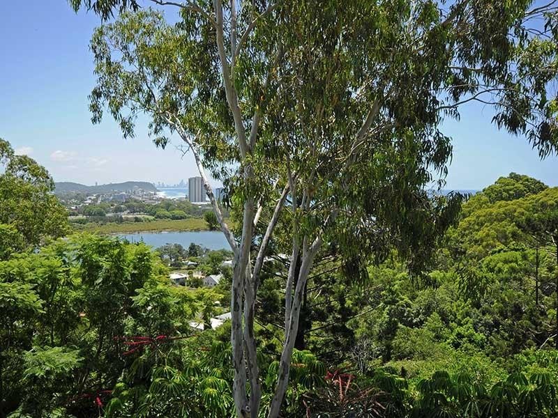 27 Thrower Drive, Currumbin QLD 4223
