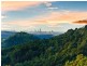 620 Trees Road, Tallebudgera QLD 4228