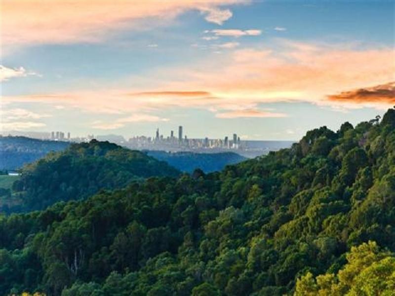 620 Trees Road, Tallebudgera QLD 4228
