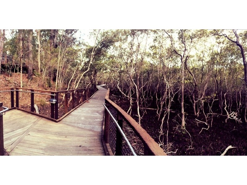 4/1 Karri Court, Burleigh Heads QLD 4220