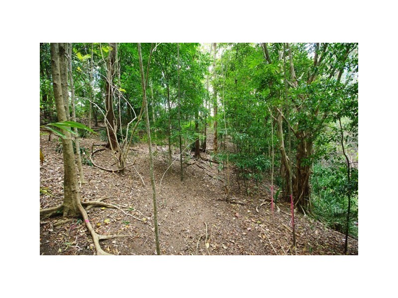 42a Evergreen Drive, Elanora QLD 4221