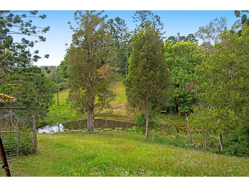 503 Tallebudgera Connection Road, Currumbin Valley QLD 4223