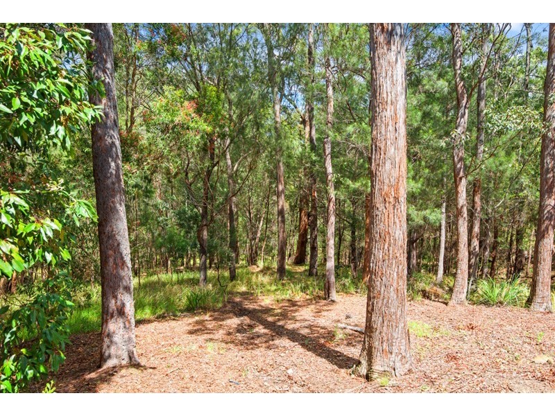 3 Forest Drive, Elanora QLD 4221
