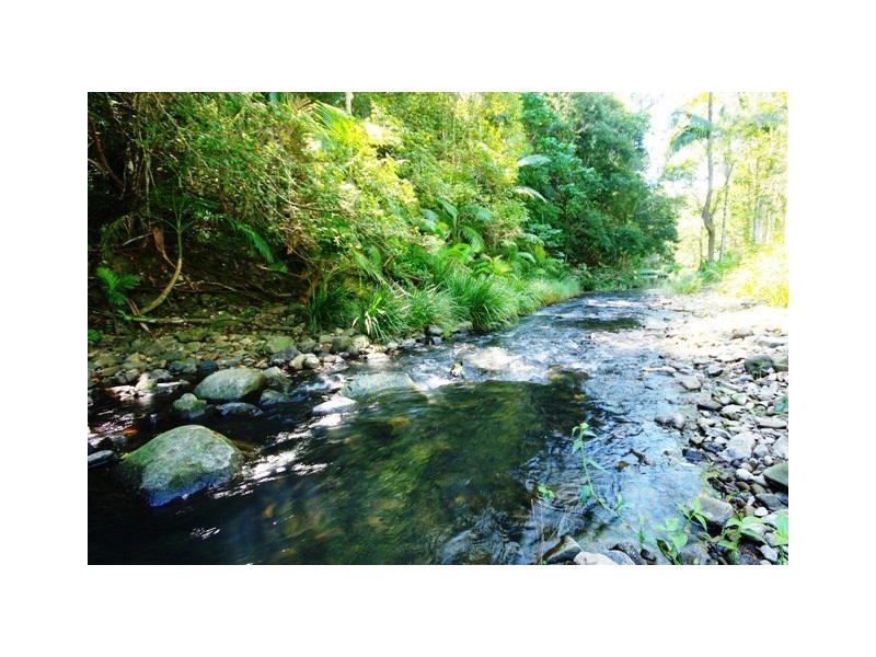 1442 Currumbin Creek Road, Currumbin Valley QLD 4223