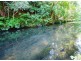 1442 Currumbin Creek Road, Currumbin Valley QLD 4223