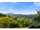 1442 Currumbin Creek Road, Currumbin Valley QLD 4223