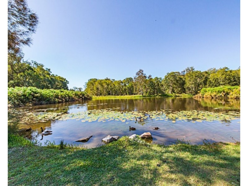 10 Heeterra Court, Elanora QLD 4221