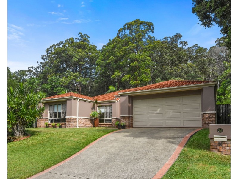 8 Breynia Court, Elanora QLD 4221