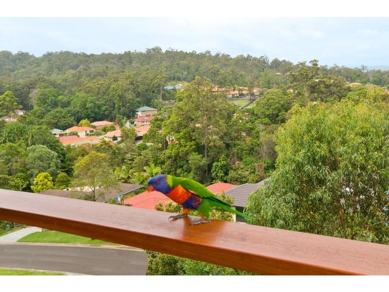 53 Forest Drive, Elanora QLD 4221