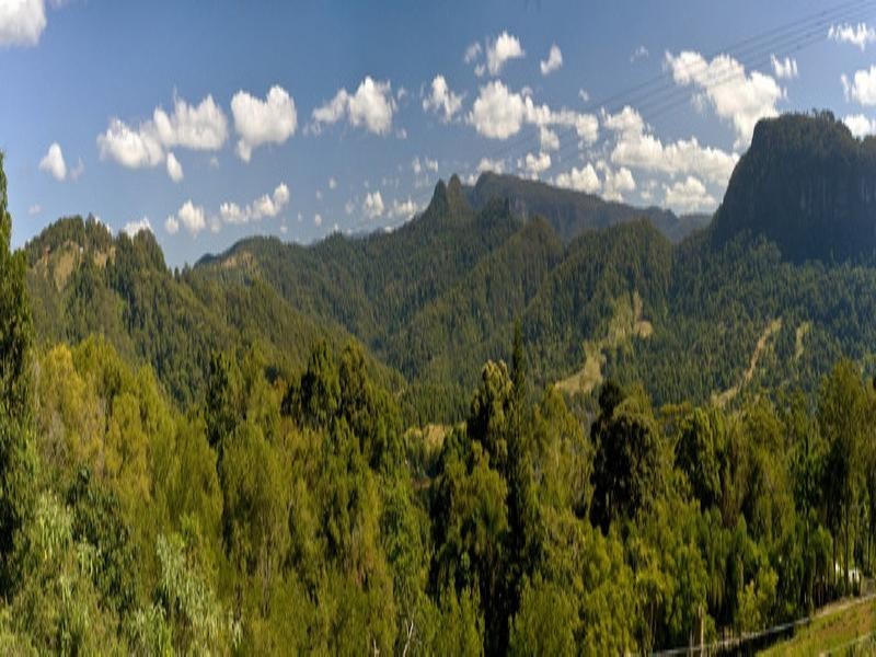 731 Tomewin Mountain Road, Currumbin Valley QLD 4223