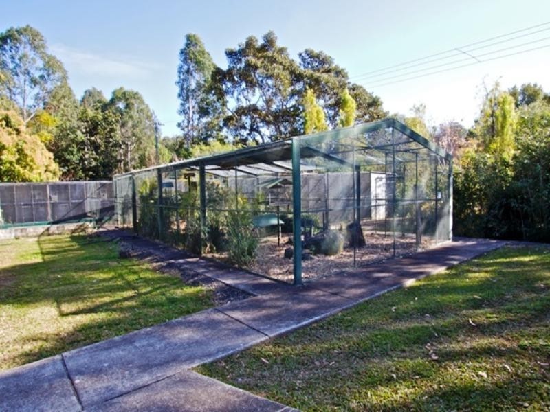 794 Piggabeen Road, Piggabeen NSW 2486