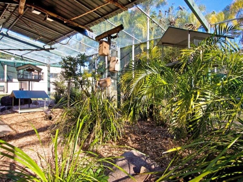 794 Piggabeen Road, Piggabeen NSW 2486