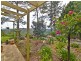 43 Plaza Street, Tallebudgera Valley QLD 4228