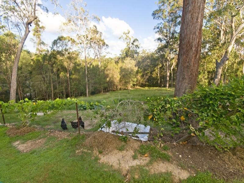 29 Jedda Street, Tallebudgera QLD 4228