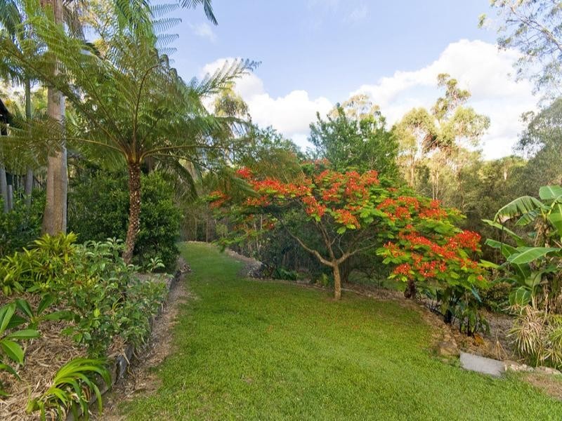 29 Jedda Street, Tallebudgera QLD 4228