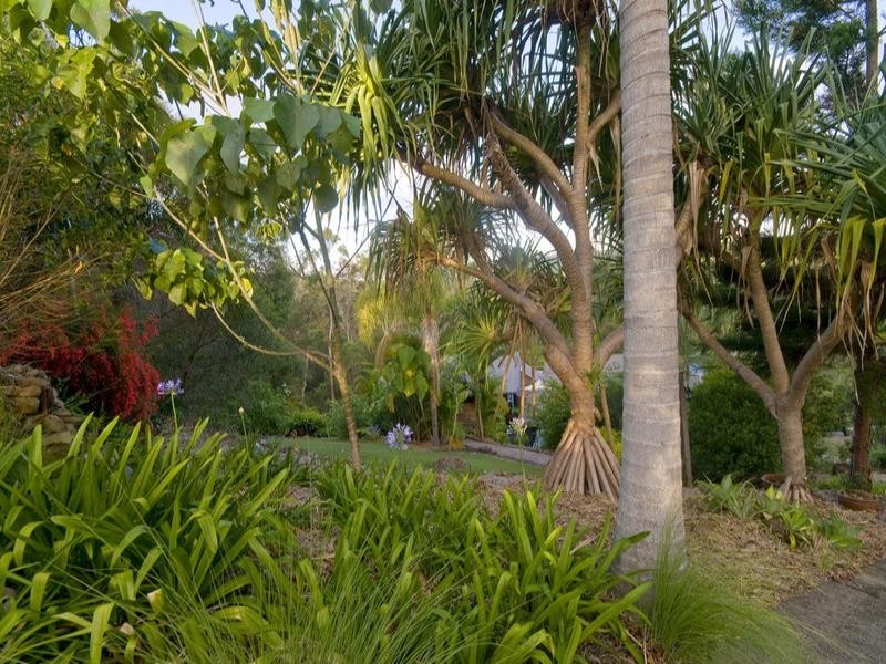 29 Jedda Street, Tallebudgera QLD 4228