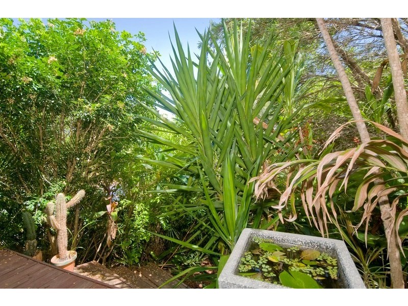 6 Border Drive, Currumbin Waters QLD 4223