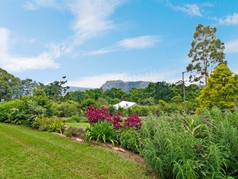 699 Tomewin Mountain Road, Currumbin Valley QLD 4223