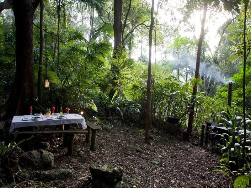 699 Tomewin Mountain Road, Currumbin Valley QLD 4223