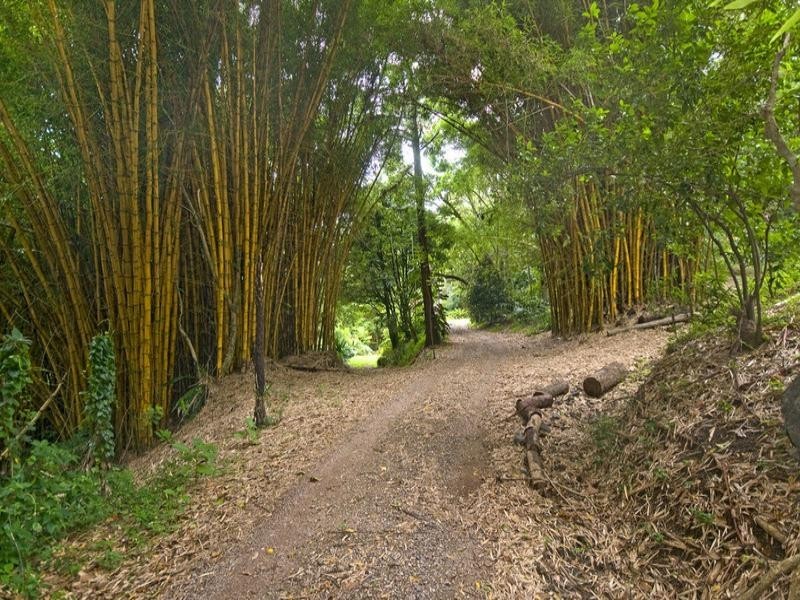 678 Tomewin Mountain Road, Currumbin Valley QLD 4223