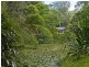 678 Tomewin Mountain Road, Currumbin Valley QLD 4223