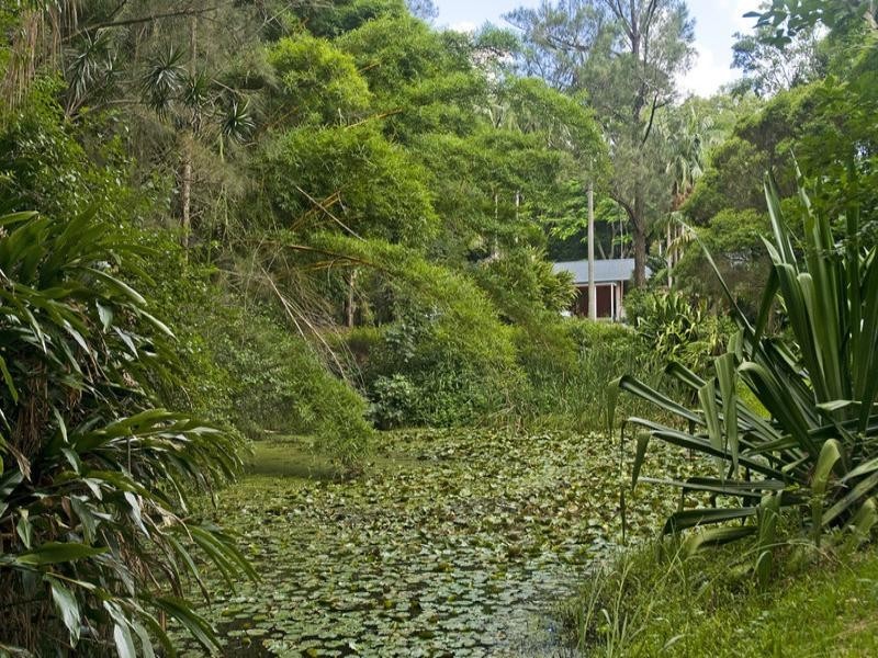 678 Tomewin Mountain Road, Currumbin Valley QLD 4223