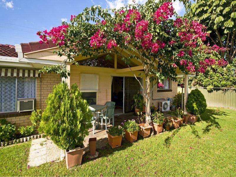 161 Mallawa Drive, Palm Beach QLD 4221