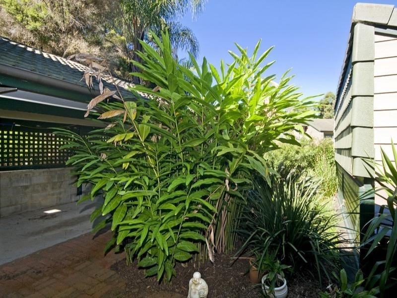 4/65 Mitchell Avenue, Currumbin QLD 4223