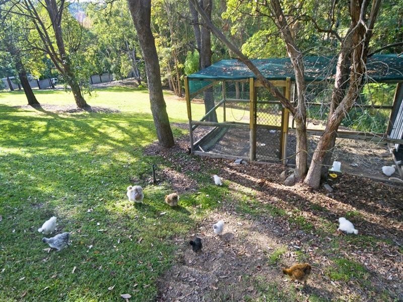 11 Evergreen Drive, Elanora QLD 4221