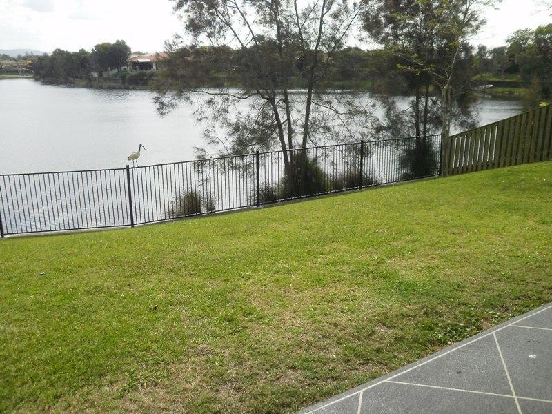 7 Gardendale Crescent, Burleigh Waters QLD 4220