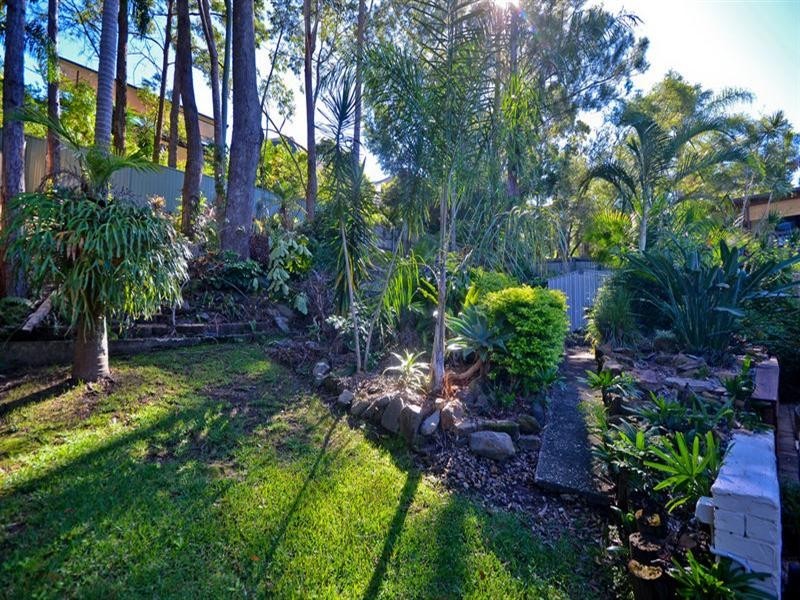 16 Fatsia Court, Elanora QLD 4221