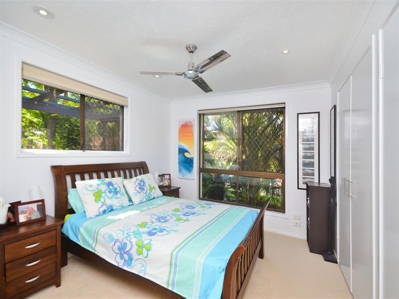 16 Fatsia Court, Elanora QLD 4221