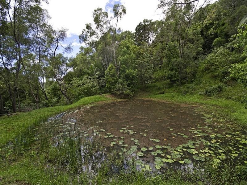 592 Tallebudgera Creek Road, Tallebudgera Valley QLD 4228