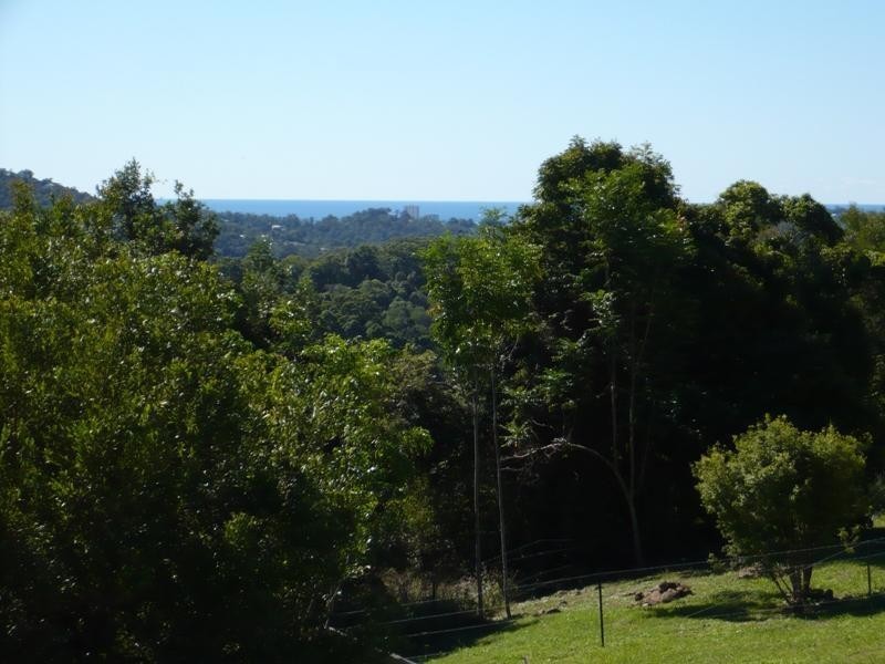 536 Piggabeen Road, Currumbin Valley QLD 4223